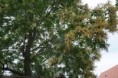 /album/napkozi-erzsebet-okotabor-2-nap-2022-06-21/dsc08742-jpg2/
