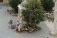 /album/napkozi-erzsebet-okotabor-5-nap-2022-06-24/dsc09392-jpg/
