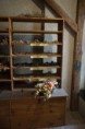 /album/napkozi-erzsebet-okotabor-5-nap-2022-06-24/dsc09398-jpg2/